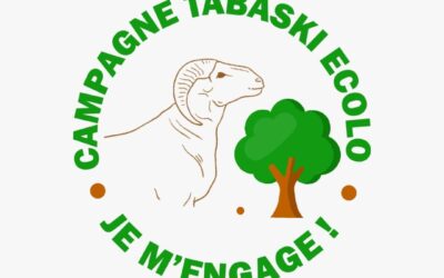 Lancement de la 8ᵉ édition de Tabaski Écolo : Des Influenceurs et Activistes engagés pour porter la voix d’une Tabaski Écolo “Un mouton, un arbre”